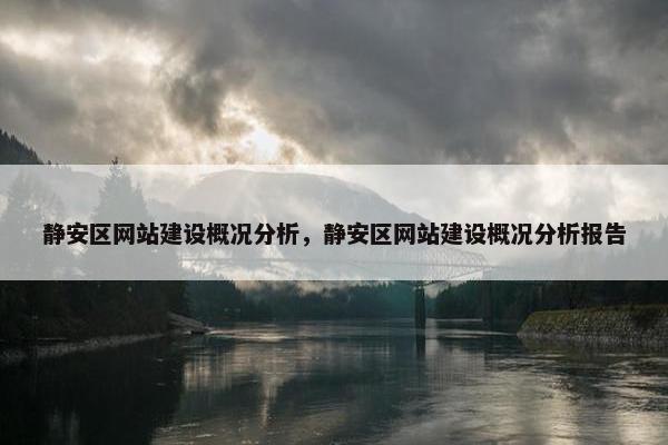 静安区网站建设概况分析，静安区网站建设概况分析报告