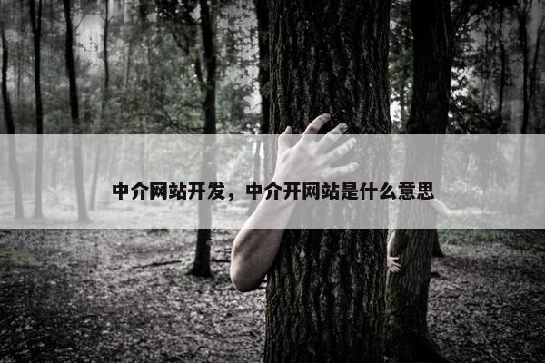 中介网站开发，中介开网站是什么意思