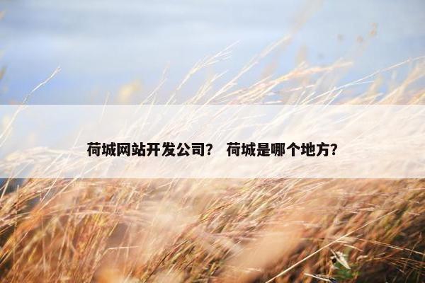 荷城网站开发公司？ 荷城是哪个地方？