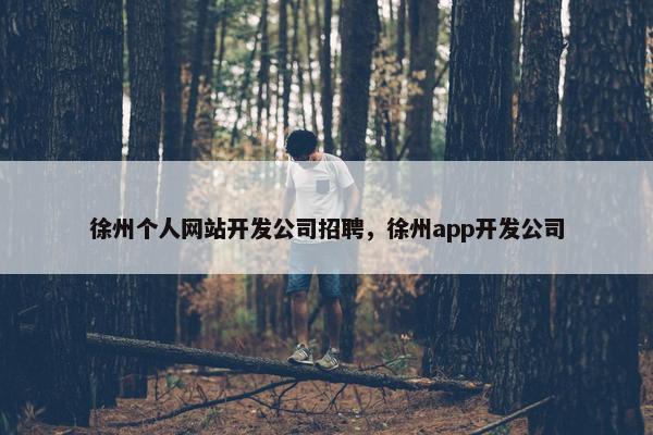 徐州个人网站开发公司招聘，徐州app开发公司