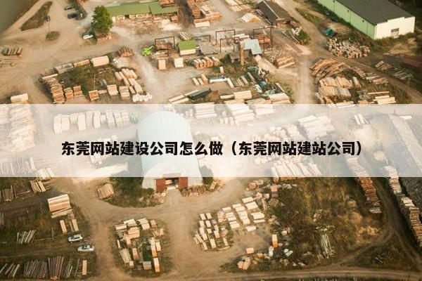 东莞网站建设公司怎么做（东莞网站建站公司）