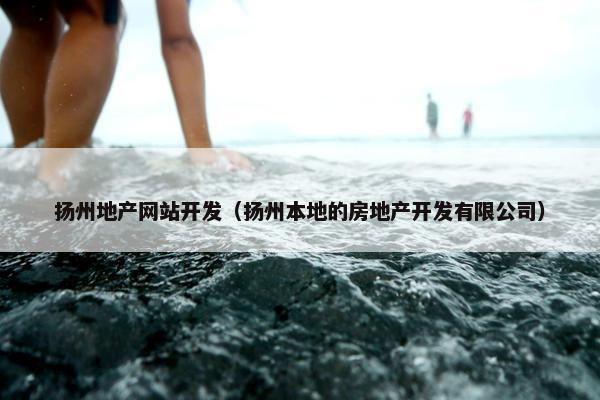扬州地产网站开发（扬州本地的房地产开发有限公司）