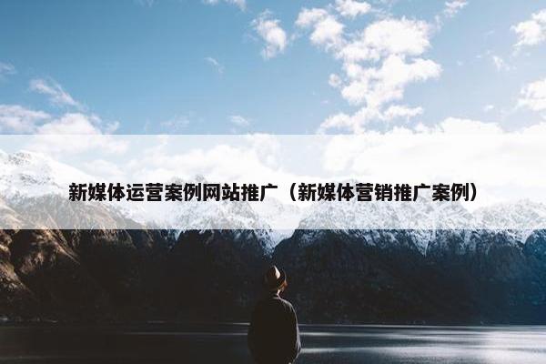 新媒体运营案例网站推广（新媒体营销推广案例）