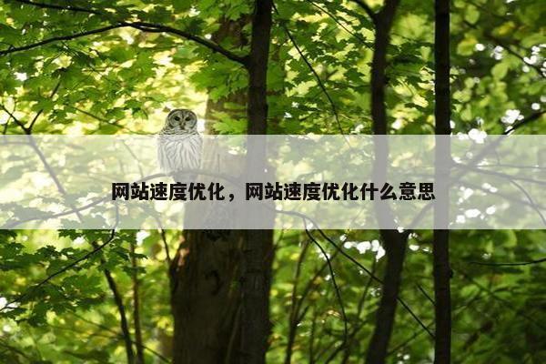 网站速度优化，网站速度优化什么意思
