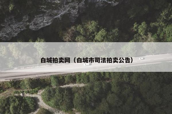 白城拍卖网（白城市司法拍卖公告）