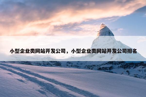 小型企业类网站开发公司，小型企业类网站开发公司排名
