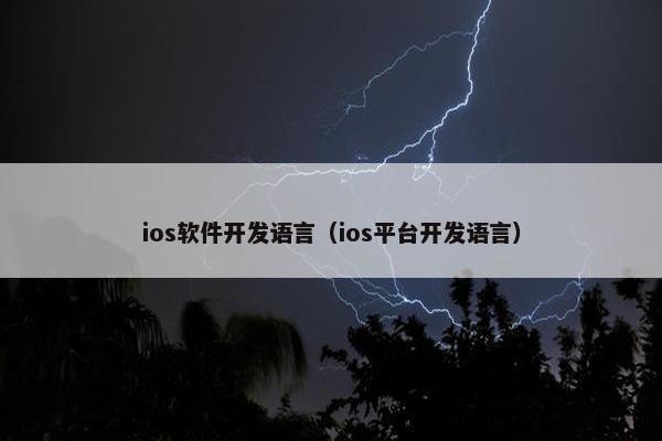 ios软件开发语言（ios平台开发语言）
