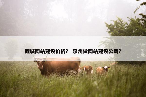 鲤城网站建设价格？ 泉州做网站建设公司？