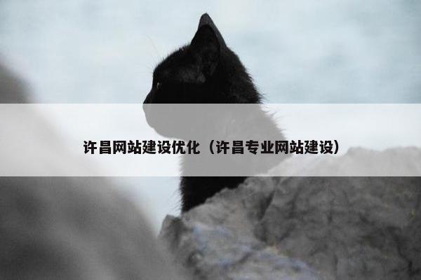 许昌网站建设优化（许昌专业网站建设）