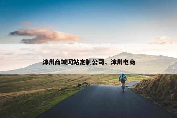 漳州商城网站定制公司，漳州电商