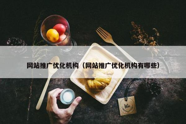 网站推广优化机构（网站推广优化机构有哪些）