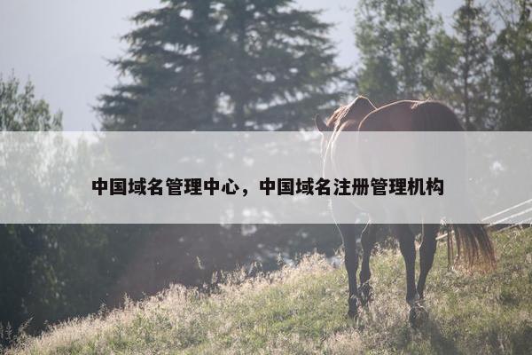 中国域名管理中心，中国域名注册管理机构