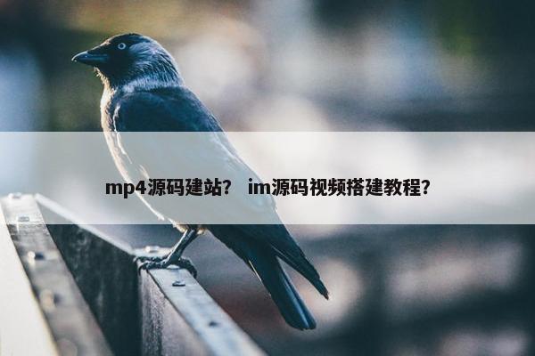 mp4源码建站？ im源码视频搭建教程？