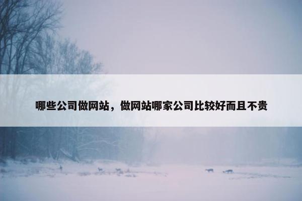 哪些公司做网站，做网站哪家公司比较好而且不贵