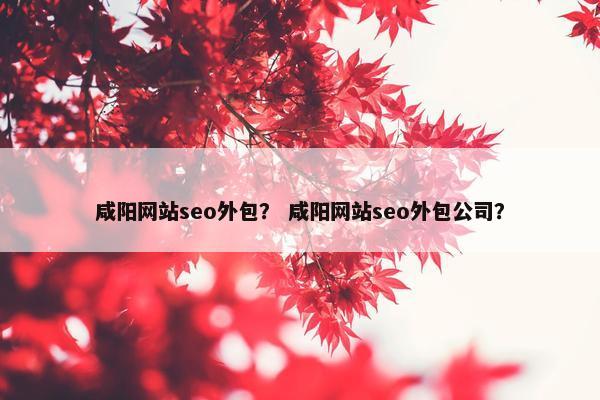 咸阳网站seo外包？ 咸阳网站seo外包公司？