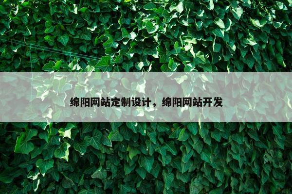 绵阳网站定制设计，绵阳网站开发