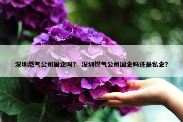 深圳燃气公司国企吗？ 深圳燃气公司国企吗还是私企？