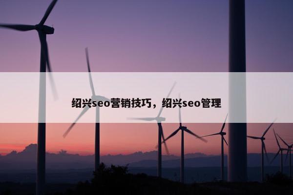 绍兴seo营销技巧，绍兴seo管理