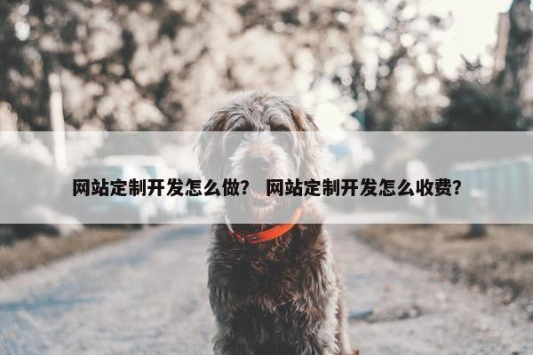 网站定制开发怎么做？ 网站定制开发怎么收费？