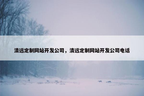 清远定制网站开发公司，清远定制网站开发公司电话