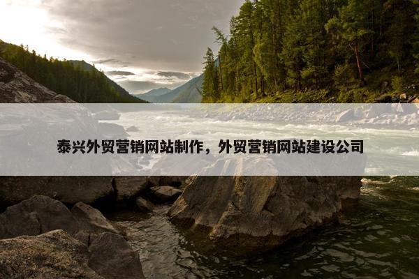泰兴外贸营销网站制作，外贸营销网站建设公司