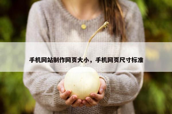 手机网站制作网页大小，手机网页尺寸标准
