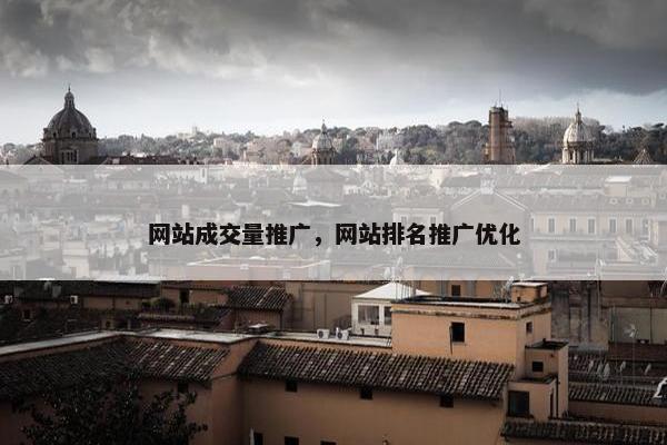 网站成交量推广，网站排名推广优化