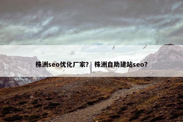 株洲seo优化厂家？ 株洲自助建站seo？