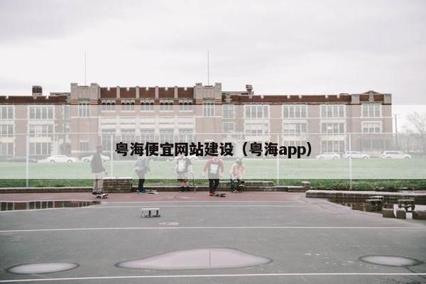 粤海便宜网站建设（粤海app）