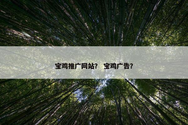 宝鸡推广网站？ 宝鸡广告？