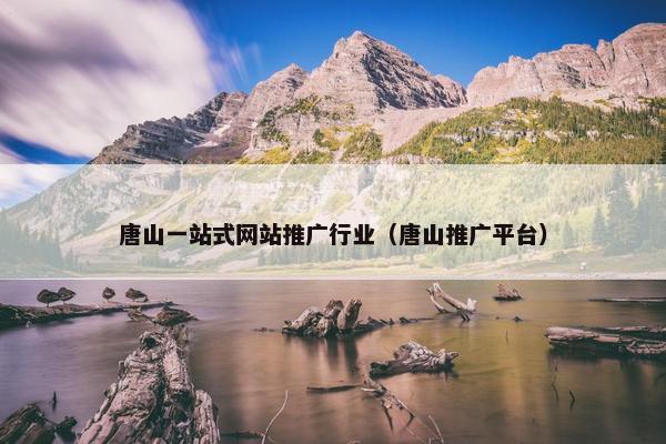 唐山一站式网站推广行业（唐山推广平台）
