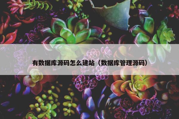 有数据库源码怎么建站（数据库管理源码）