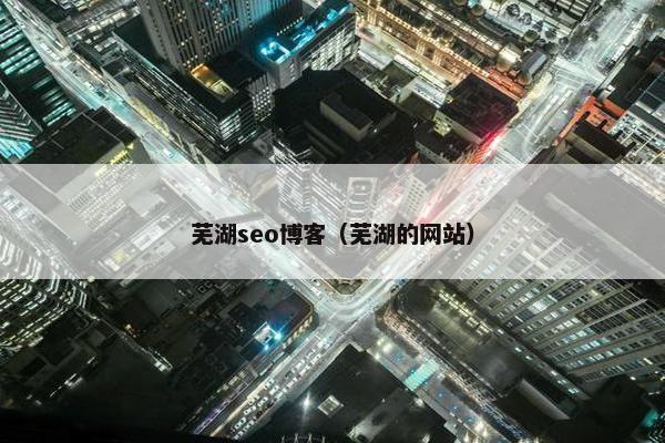 芜湖seo博客（芜湖的网站）