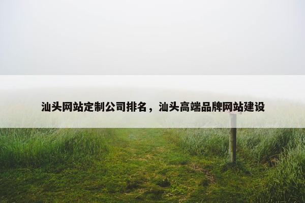 汕头网站定制公司排名，汕头高端品牌网站建设