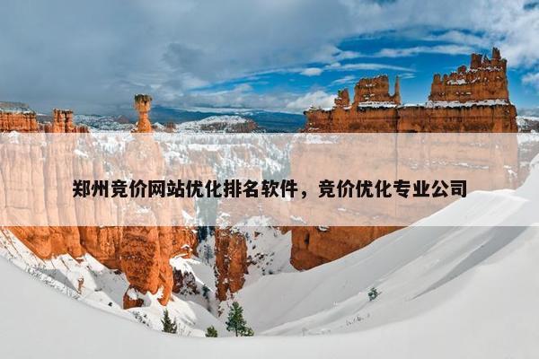 郑州竞价网站优化排名软件，竞价优化专业公司