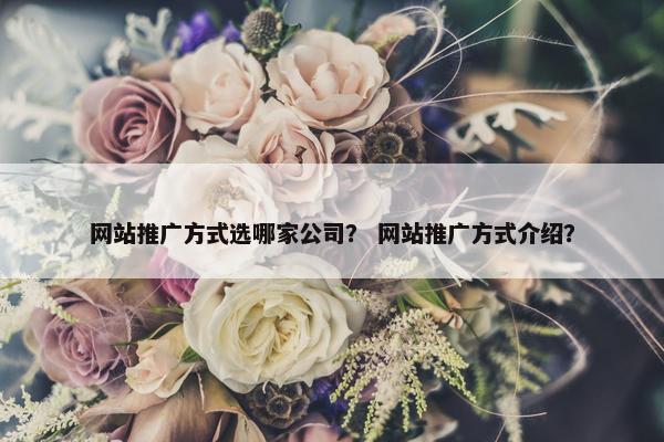 网站推广方式选哪家公司？ 网站推广方式介绍？