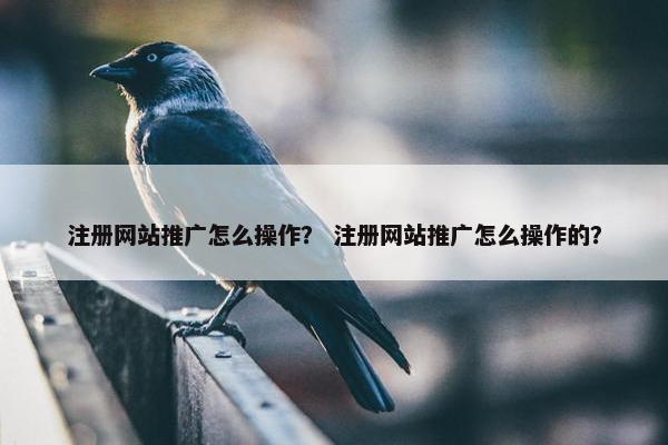 注册网站推广怎么操作？ 注册网站推广怎么操作的？
