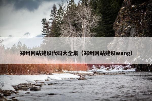 郑州网站建设代码大全集（郑州网站建设wang）