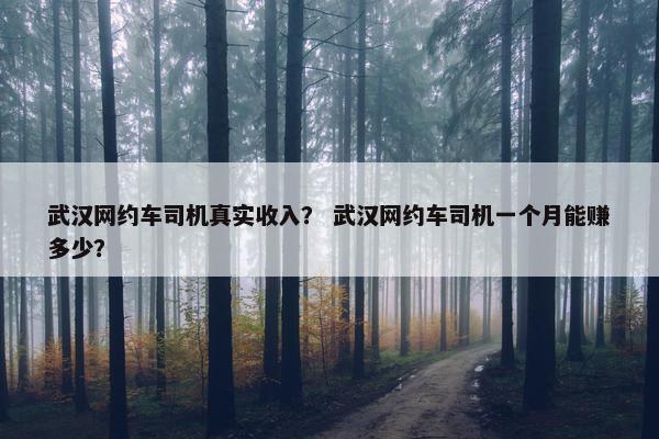 武汉网约车司机真实收入？ 武汉网约车司机一个月能赚多少？