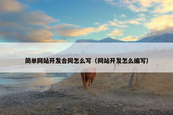 简单网站开发合同怎么写（网站开发怎么编写）