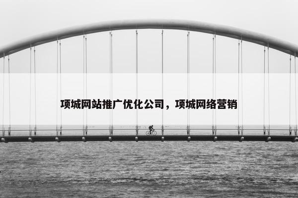 项城网站推广优化公司，项城网络营销