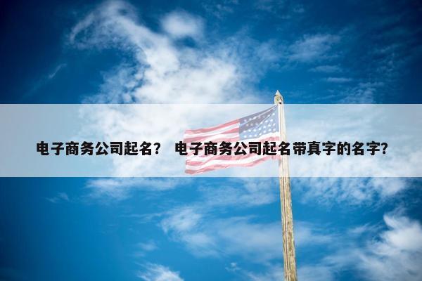 电子商务公司起名？ 电子商务公司起名带真字的名字？