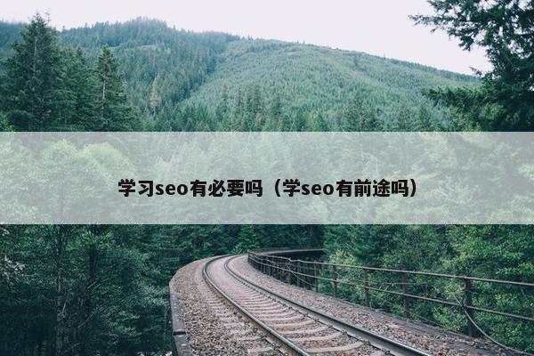 学习seo有必要吗（学seo有前途吗）