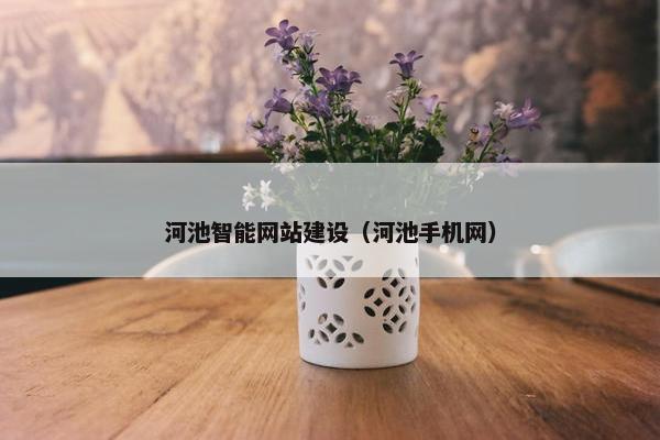 河池智能网站建设（河池手机网）