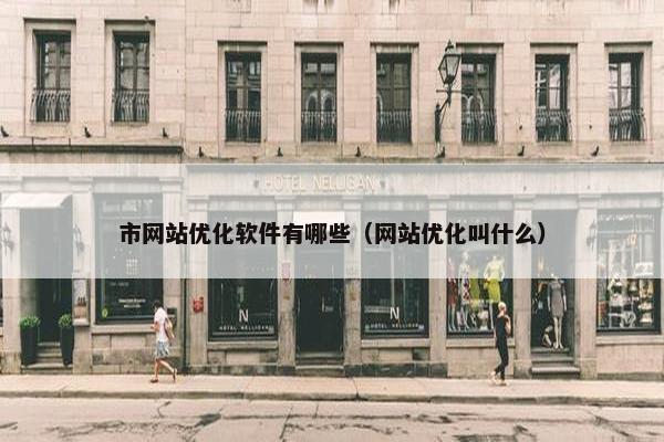 市网站优化软件有哪些（网站优化叫什么）