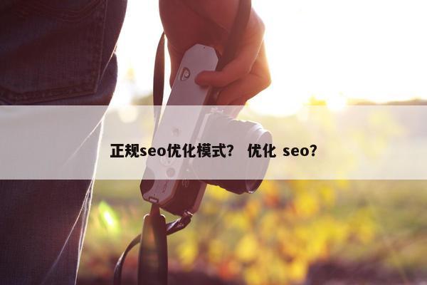 正规seo优化模式？ 优化 seo？