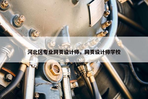 河北区专业网页设计师，网页设计师学校