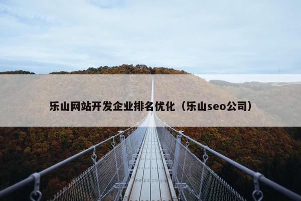 乐山网站开发企业排名优化（乐山seo公司）