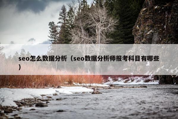 seo怎么数据分析（seo数据分析师报考科目有哪些）