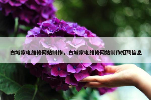 白城家电维修网站制作，白城家电维修网站制作招聘信息